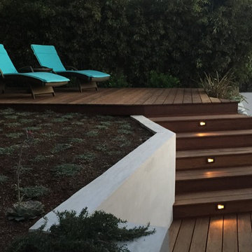 Modern IPE backyard - Santa Monica