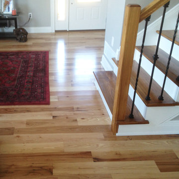 Hickory