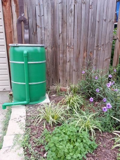 Eco-Home: A Guide to Rainwater Harvesting