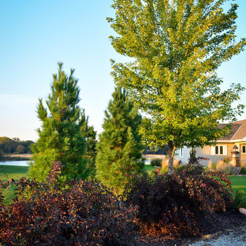 Lakeside Rustic Landscape