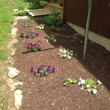 Spring Clean-up