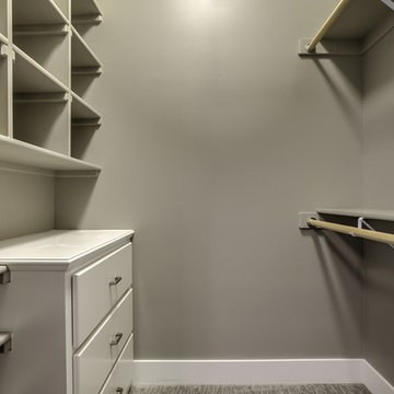 Transitional Closet