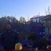 Roderick Cousins's photo