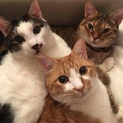 Photo de Fumiko Munakata