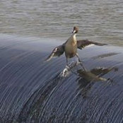 Foto de Jared Linton
