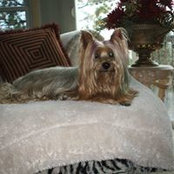 Gale Forbes's photo