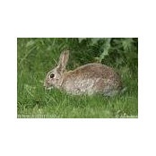 Bunny Aller's photo