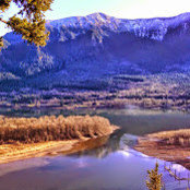 Michele Bishai's photo