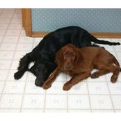 Jim O'Dell's photo
