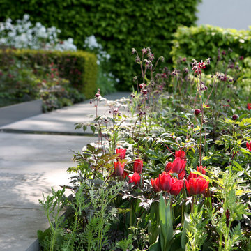 RHS Chelsea 2015 Telegraph Garden