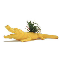 Goldy Gator Tillandsia Planter - Indoor Pots And Planters