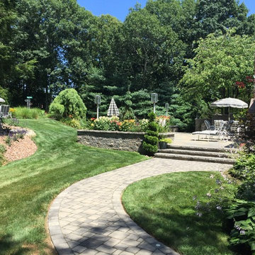 Lush Landscape