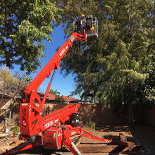 Backyard Blitz
