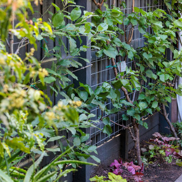 Cottage garden feels with a lot of textural interest!