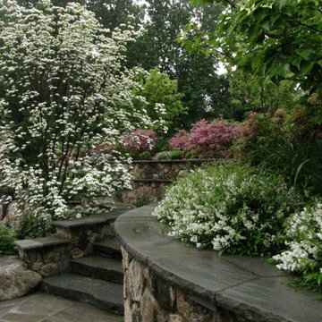 Backyard landscaping