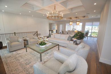 Transitional living room in Tampa.