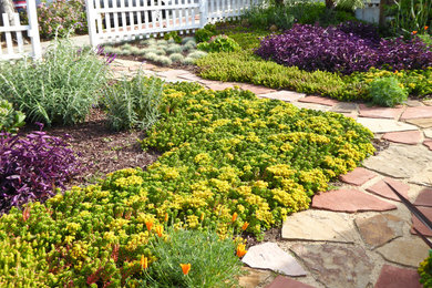 Small eclectic front yard full sun xeriscape in Santa Barbara with a garden path and natural stone pavers for summer.