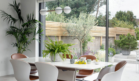 Room Tour: A Light-filled Extension Boosts Open-plan Living