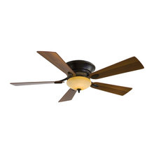 Ceiling Fans
