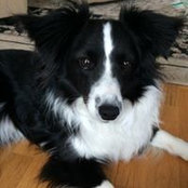 Amy Wruck's photo