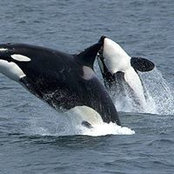 Guillermo Espinosa's photo