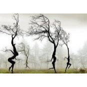 Foto von Tota Stathopoulou
