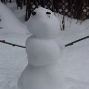 Beth Donovan Fague's photo