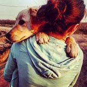 Roxana Solo's photo