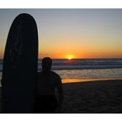 Joe Marfise's photo
