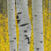 Mitchell McCord's photo