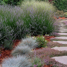 Walkways