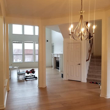 Francois Paint & Floor