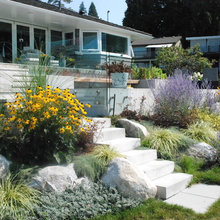 Front yard landscaping