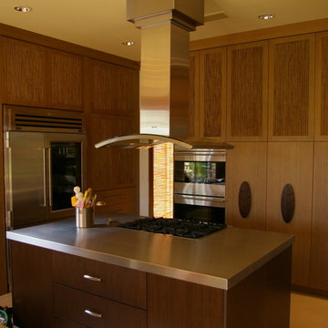 Friedland residence