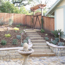 Landscape Ideas