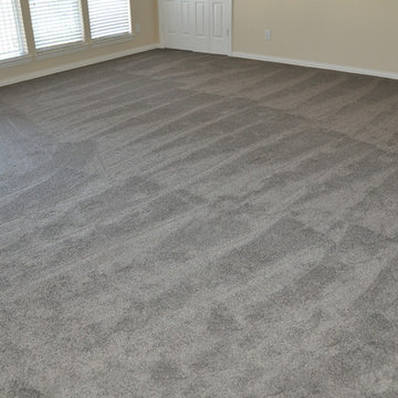 Gray Stainmaster 60oz plush 6.6 Nylon Carpet