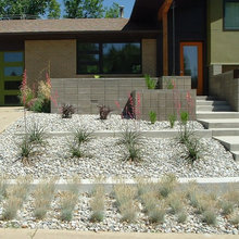 Front Landscape