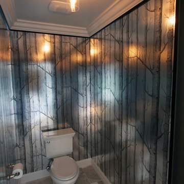 Suburban Renovation