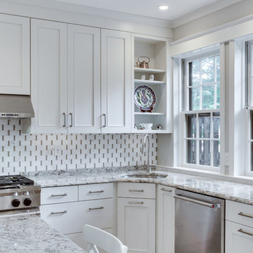 Transitional Kitchen Remodel Washington, DC by Reico Kitchen & Bath