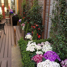 Another Garden