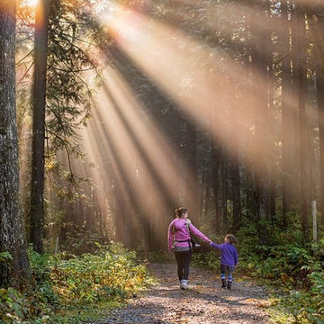 Forest Bathing is One of 2018's Top Landscaping Trends