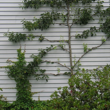 Dealing with vinyl siding...