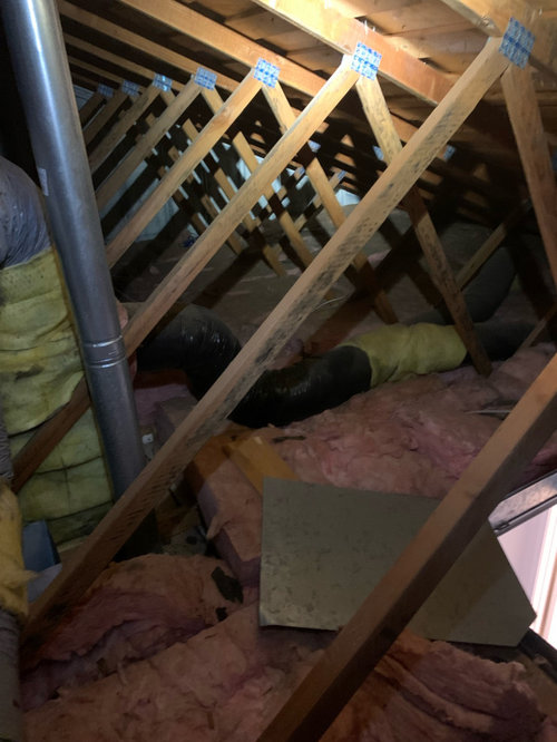 Mold in Attic? any ideas