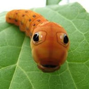Jen Graff's photo