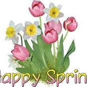 Pam DiLorenzo's photo