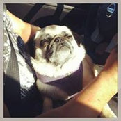 Angela Hauser's photo