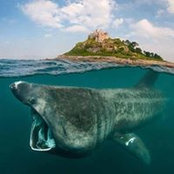 Foto von Rob Stanley-Jones