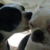 Jennifer Barrett's photo