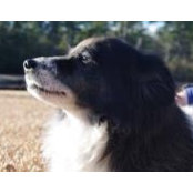 Debra Bowen's photo