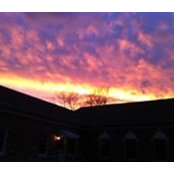 Alicia Johnson's photo